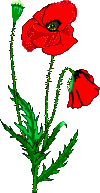 bunga imej-animasi-gif